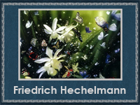 Friedrich Hechelmann